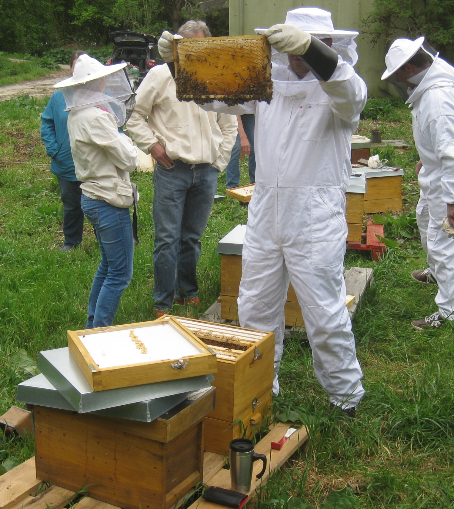 Imkerei Bienenzuchtverein Massenhausen